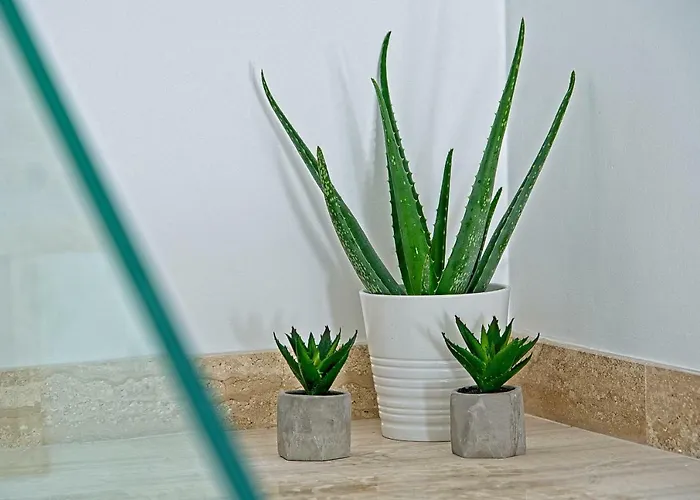 Ulika * ماكارسكا