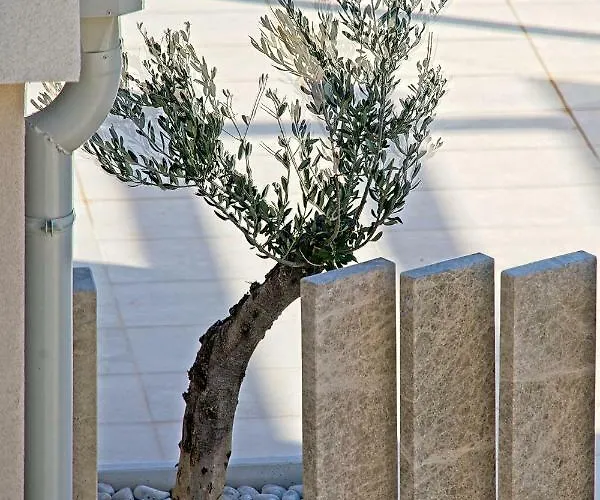 فيلة Ulika ماكارسكا